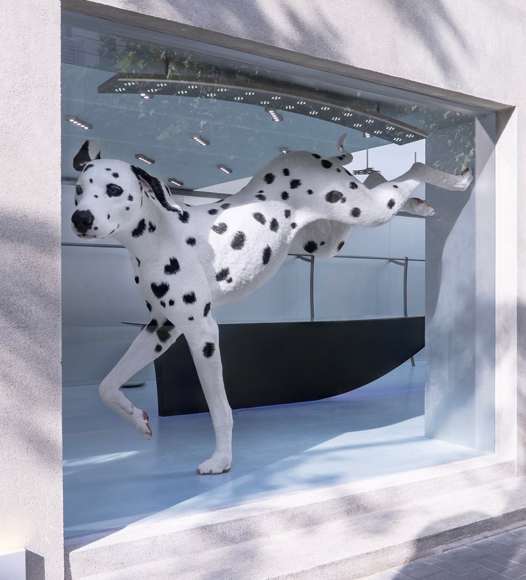 아더에러 ‘빛과 어둠’ 콘셉트의 중국 첫 상하이 플래그십 공개 27-Image